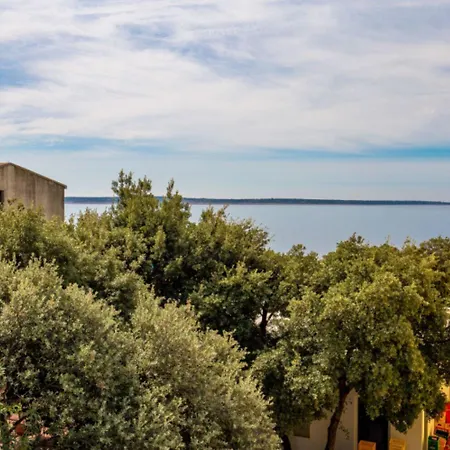 Cathy * Мандре