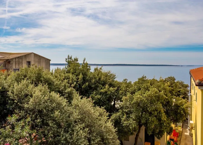 Cathy * Мандре