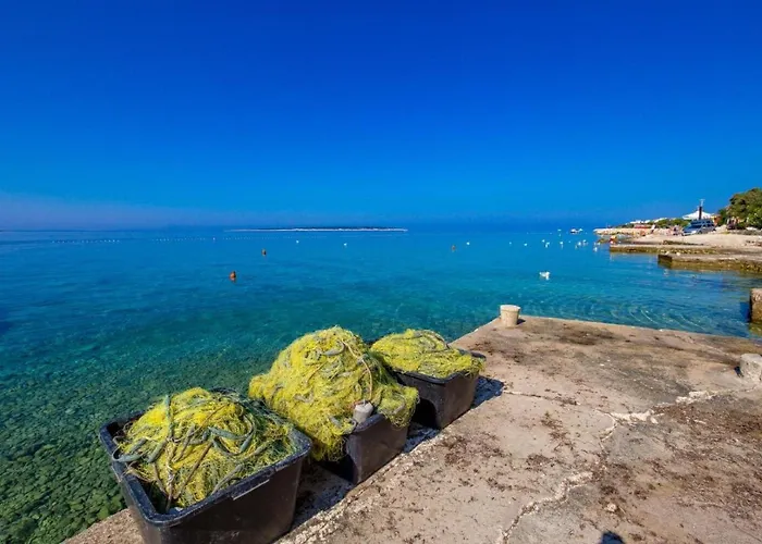 Апартаменты Cathy *