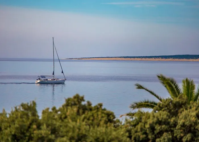 Апартаменты Cathy *